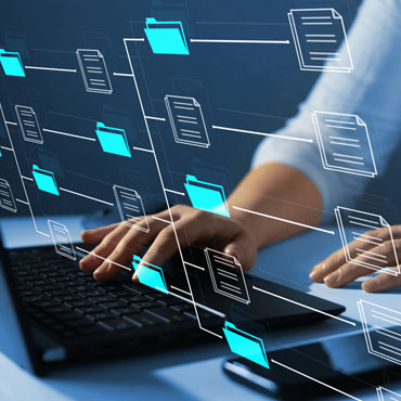 Information Technology Consultants